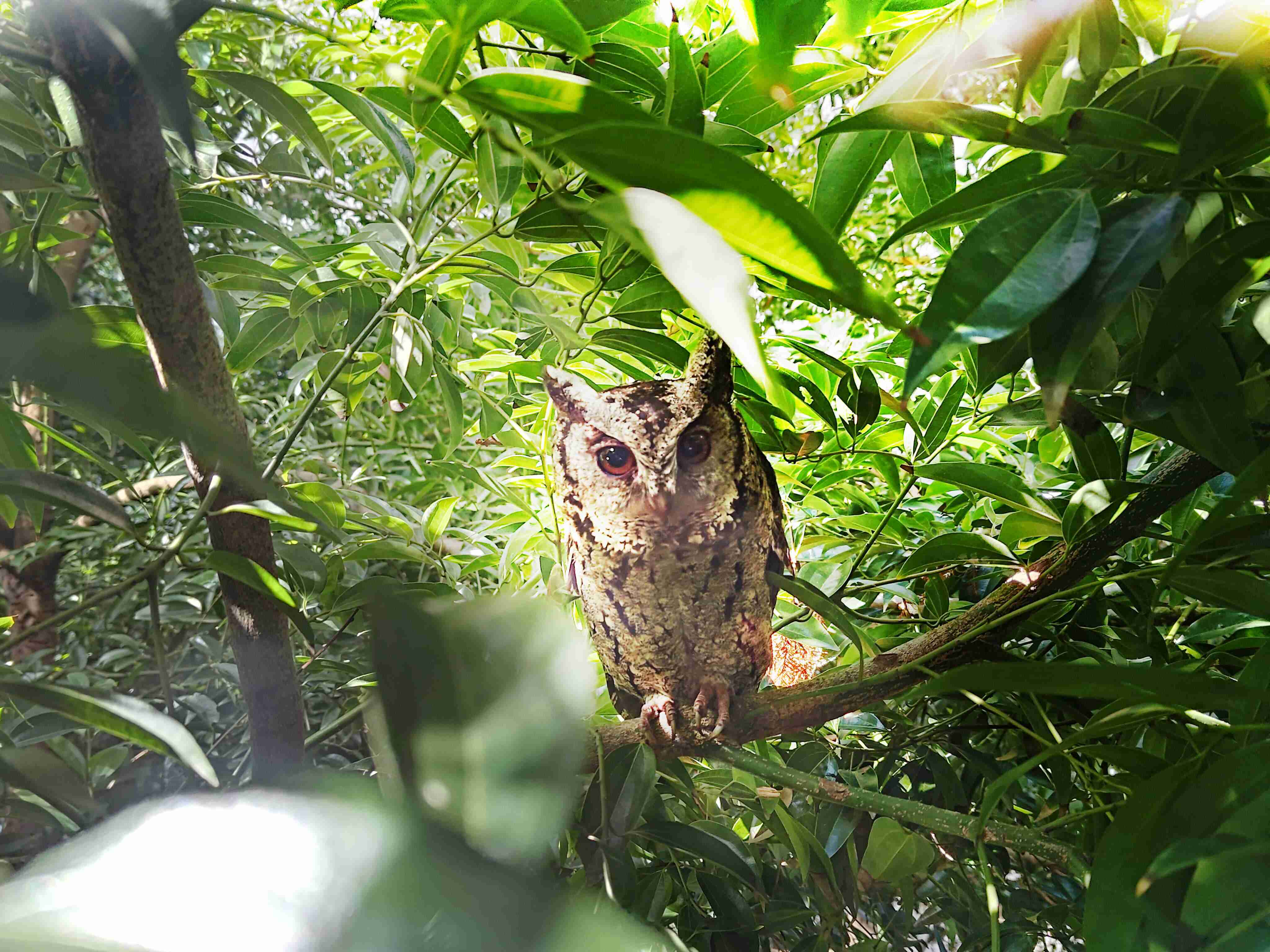 z6尊龙致力提倡净零绿生活，，16年以来在全球各厂区植树逾百万棵，，，造就各厂区树木蔚然成林，，犹如森林工厂，，，，成为许多生物的栖息地